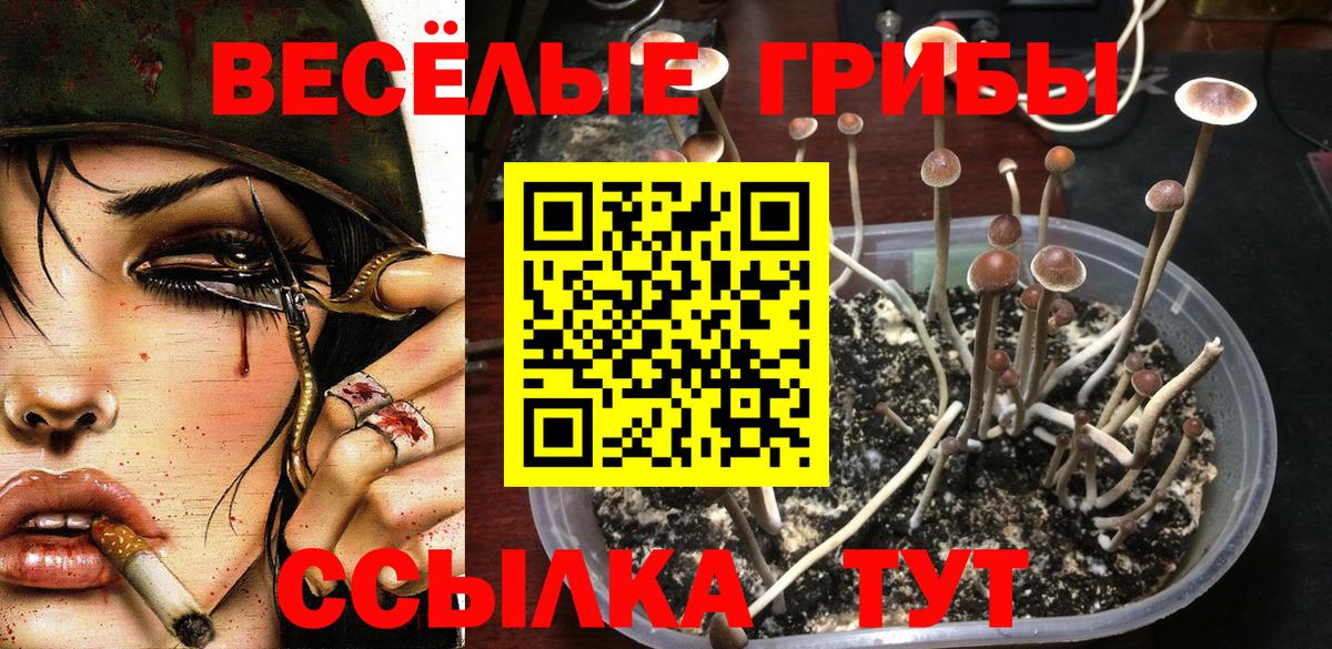 LSD-25 Соликамск